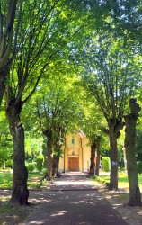 jarek 
The way to the Orthodox church in Elbląg 
2025-07-26 19:40:41