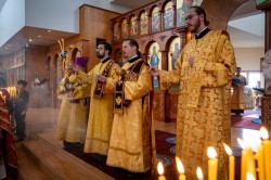 Lazo 
Anchorage Pilgrimage—Glorification of St. Olga,  Wonderworker & Matushka of All Alaska 
2025-08-07 18:37:42