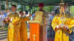 jarek1