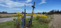 jarek 
Crosses between Nowoberezowo and Nowokornino villages 
2025-08-19 19:23:51