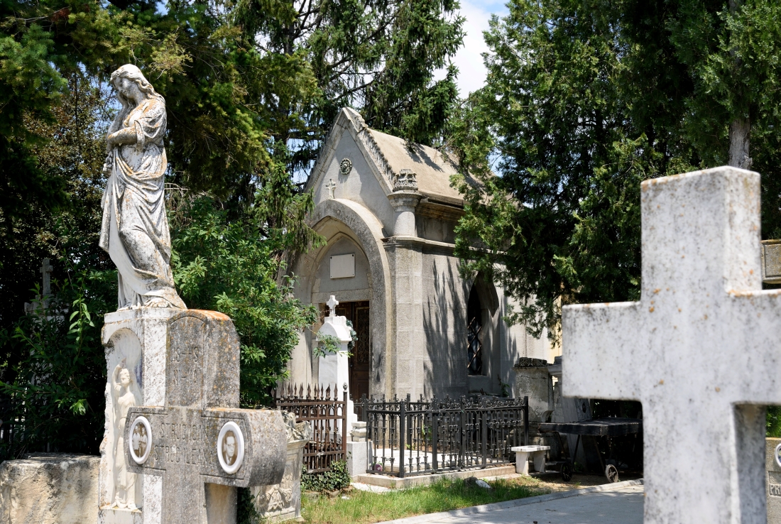 Graves in Cernica, 2025