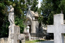 Sheep1389 
 Graves in Cernica, 2025