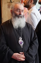 jarek11
