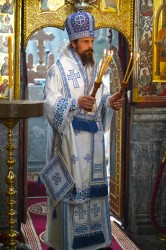 jarek11
