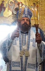 jarek11