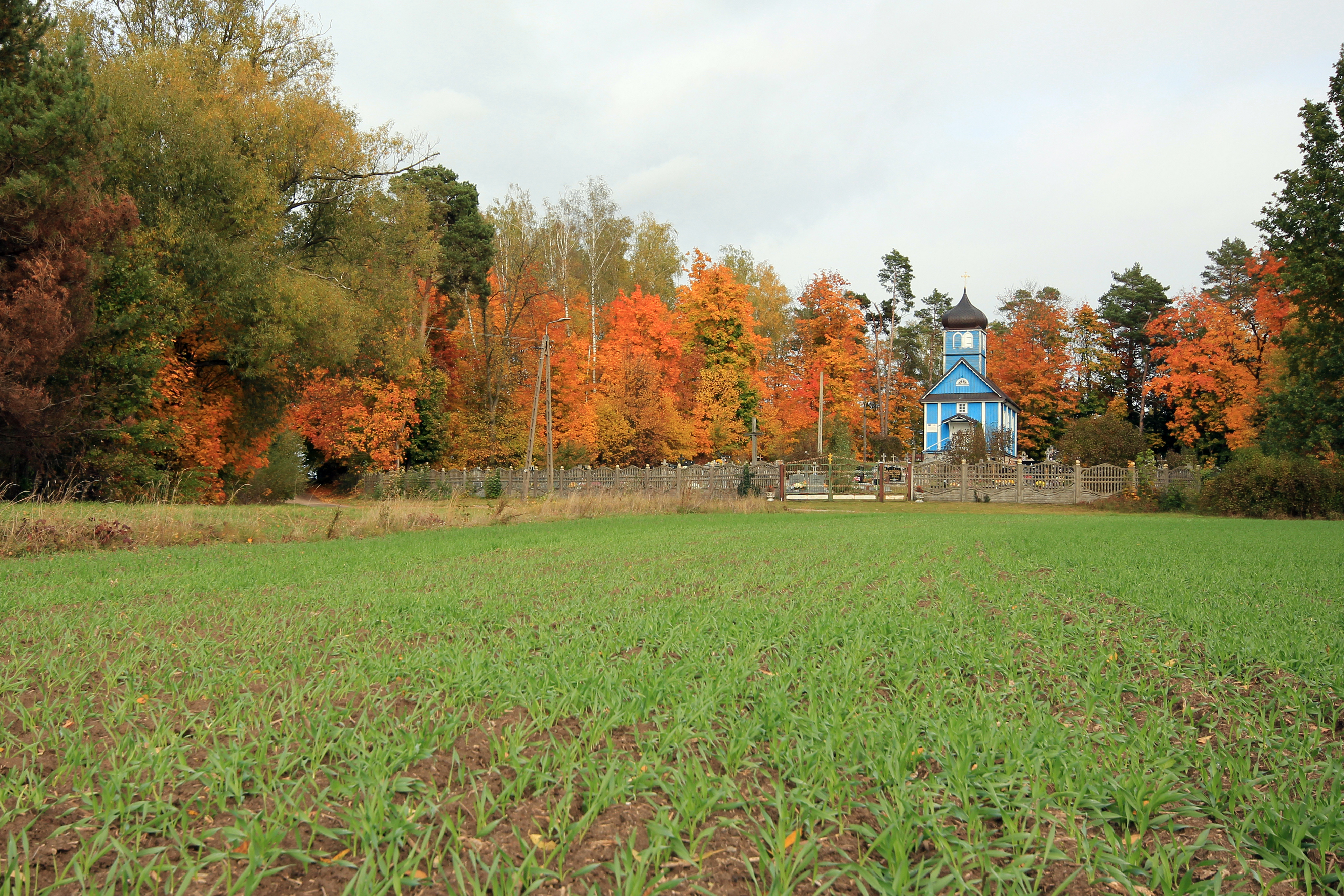 The Orthodox cementary church in Pawły