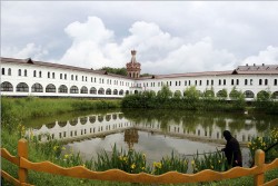 tolmargarita