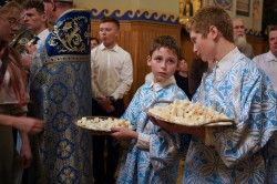jarek