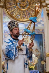 jarek