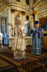 jarek