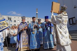 jarek