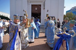 jarek