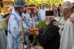 alik 
Monaster Morača 
2025-11-05 16:29:09