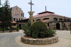 Sheep1389 
 Monastery of Live-Giving Spring, Shwayya, 2025