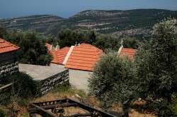 Sheep1389 
 Cmentarz w Douma, 2025