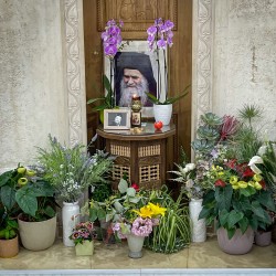 Lazo 
 Cathedral of the Resurrection of Christ, Podgorica, Montenegro