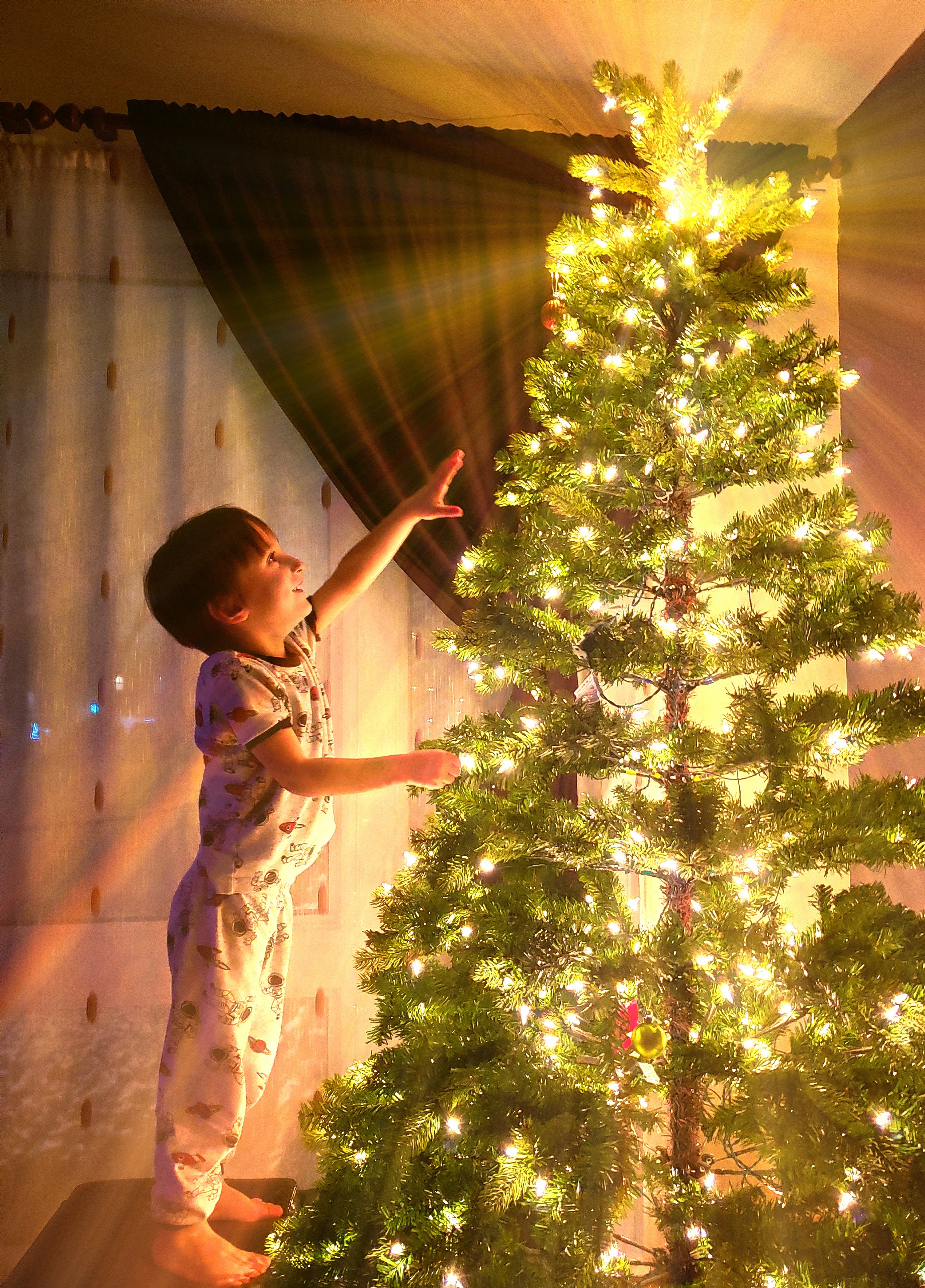 Child by the Christmas Tree