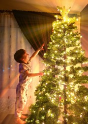 nicoolphoto 
Child by the Christmas Tree 
0 
2025-12-02 13:47:03