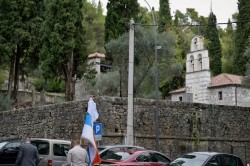 Sheep1389 
 Going to the church for the wedding... 2024
