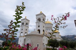 Sheep1389 
 Sobór w mieście Bar i kwiaty, 2024