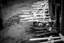 palavos 
 Grabarka 2025