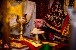 nicoolphoto 
 This bread and this wine