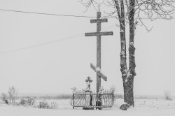 mati.40702 
 Przy drodze / Near the road (VII)