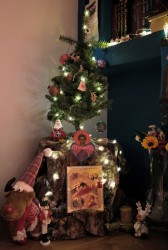 Sheep1389 
 Al-Maghara, Christmas 2025