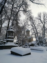 Sheep1389 
Prawosławna cerkiew i cmentarz na Woli 1 stycznia 2026 
0 
2026-01-01 10:31:41