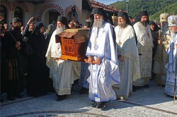 felix 
 At Celije Monastery - В Монастыре Челия