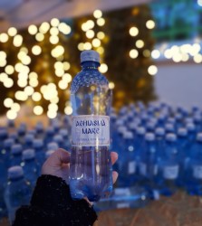 anamariaavram 
 Theophany