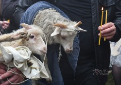 levangabechava 
 
2026-01-14 17:48:54