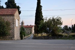 Sheep1389 
 Manastir Reževići 2024