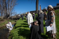 Lazo 
 Theophany, St. Sava Church, Jackson, California, USA