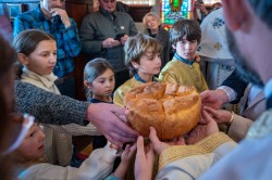 Lazo 
Савиндан–Savindan, Slava of St. Sava, St. Sava Church, Jackson, California, USA 
2026-01-29 16:58:24