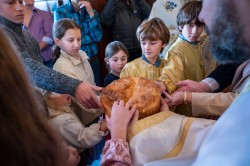 Lazo 
Савиндан–Savindan, Slava of St. Sava, St. Sava Church, Jackson, California, USA 
2026-01-29 16:58:58