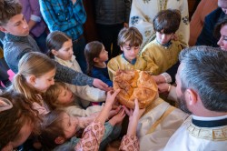 Lazo 
Савиндан–Savindan, Slava of St. Sava, St. Sava Church, Jackson, California, USA 
2026-01-29 17:00:02