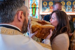 Lazo 
Савиндан–Savindan, Slava of St. Sava, St. Sava Church, Jackson, California, USA 
2026-01-29 17:00:40