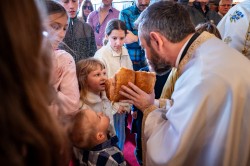 Lazo 
Савиндан–Savindan, Slava of St. Sava, St. Sava Church, Jackson, California, USA 
2026-01-30 19:03:44