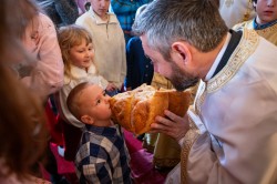 Lazo 
Савиндан–Savindan, Slava of St. Sava, St. Sava Church, Jackson, California, USA 
2026-01-30 19:04:19