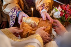 Lazo 
Савиндан–Savindan, Slava of St. Sava, St. Sava Church, Jackson, California, USA 
2026-01-30 19:04:59