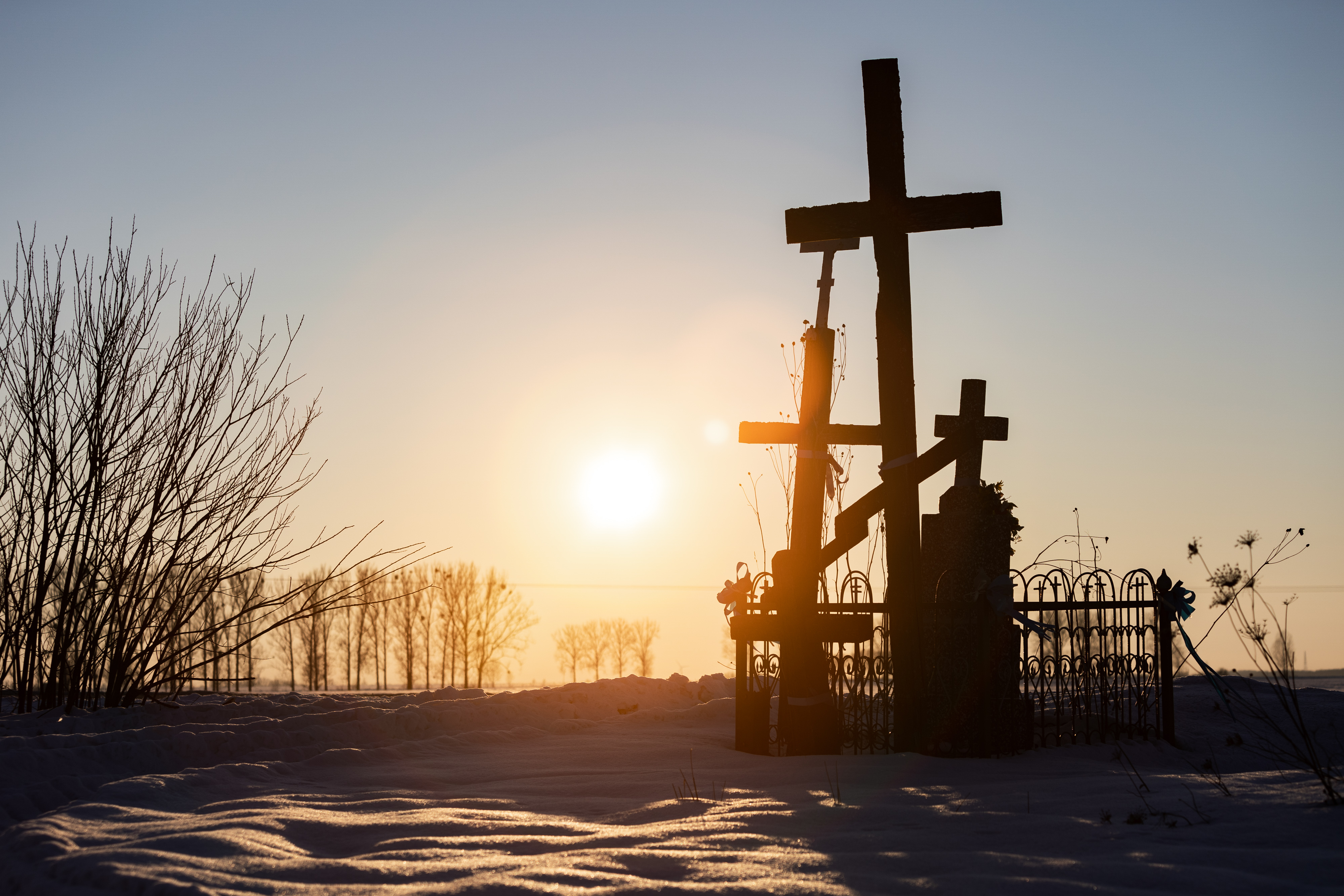 Przy drodze / Near the road (VIII)