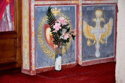 Sheep1389 
Sveti Jovan Vladimir, Podgorica, 2024 
0 
2026-02-01 13:22:21