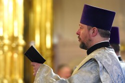 jarek1 
 St. Sava of Serbia feast in St. Mary Magdalene Metropolitan Cathedral in Warsaw