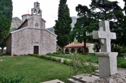 Sheep1389 
 Stara crkva u Baru, 2024