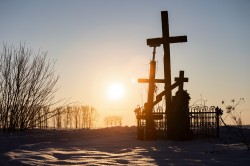 mati.40702 
 Przy drodze / Near the road (VIII)