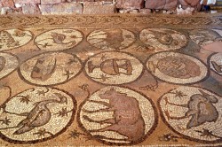 jarek
Mosaics of Christian basilica in Petra, 6th century jarek
Mosaics of Christian basilica in Petra, 6th century