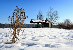 Adam Falkowski 
 
2026-02-17 19:01:24