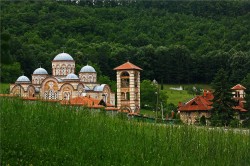 felix 
 Celije Monastery