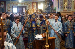 jarek1 
 The Meeting of the Lord feast in St. Nicholas Cathedral in Białystok